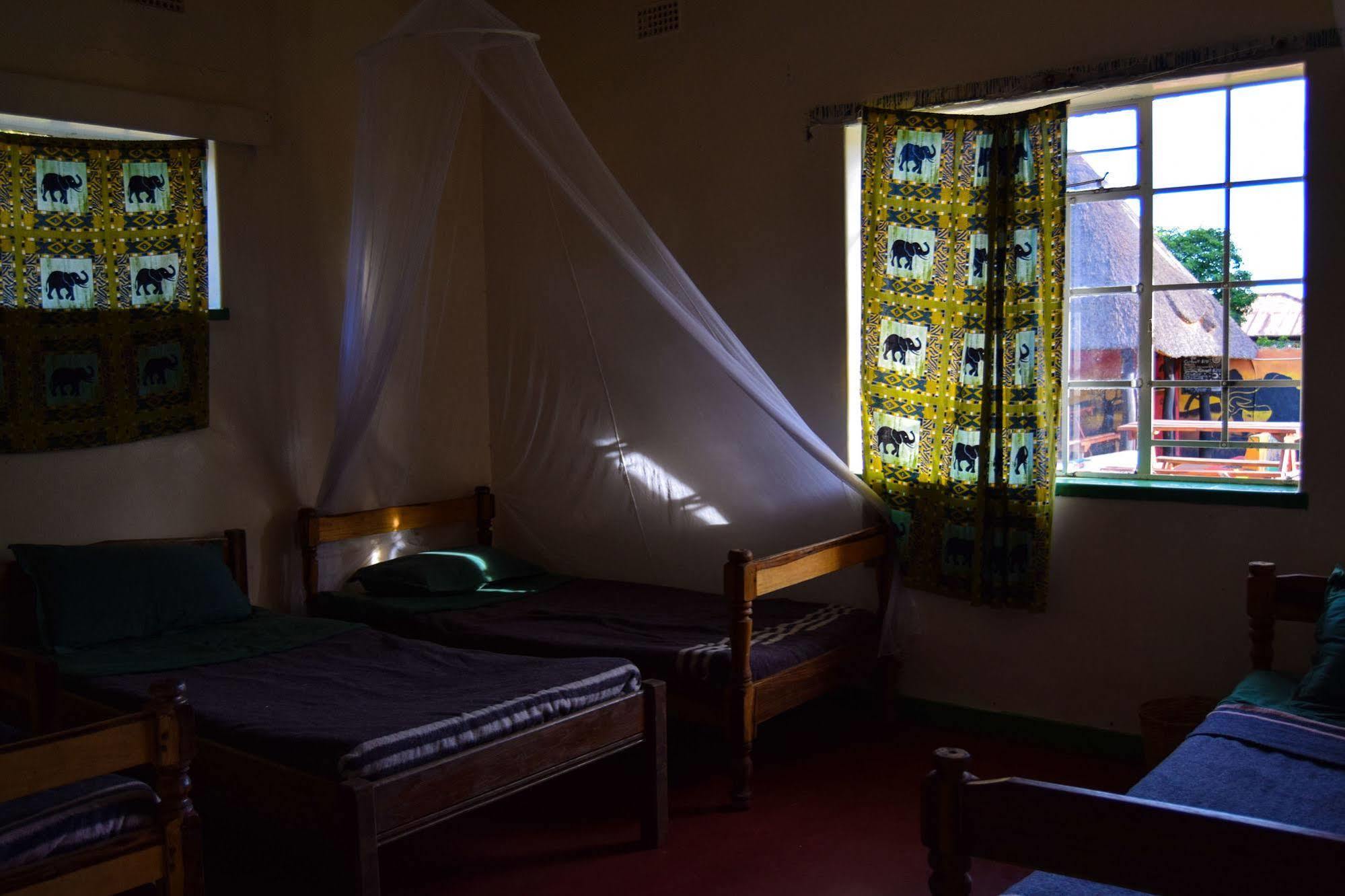 Zinga Backpackers Otel Livingstone Dış mekan fotoğraf